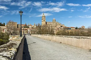 City skyline with the Cathedral, Salamanca, Castile and Leon, Spain