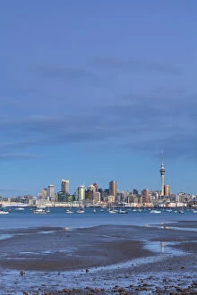 City skyline & Waitemata Harbour, Auckland, Northland, North Island, New Zealand
