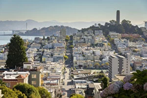 Cityscape view of Telegraph Hill, Coit Tower and North Beach from the top of Lombard