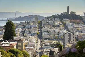 Cityscape view of Telegraph Hill, Coit Tower and North Beach from the top of Lombard