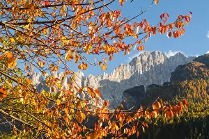 Red Leaves Prints: Civetta mount in autumn. Dolomites, Veneto, Italy