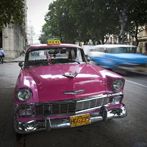 Images Dated 1st February 2013: Classic American Car (Chevrolet), Paseo del Prado, Havana, Cuba