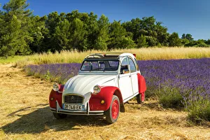 Classic Citroen 2CV by Field of Lavender, Provence, France