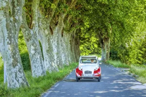 Cars Prints: Classic Citroen 2CV on Tree-lined Road, Provence, France