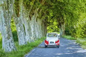 Images Dated 27th June 2018: Classic Citroen 2CV on Tree-lined Road, Provence, France