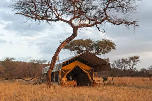 A classic safari tent at dawn on the African plains, Tanzania
