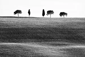 B And W Collection: Classic Tuscan landscape, near San Quirico, Valle de Orcia, Tuscany, Italy