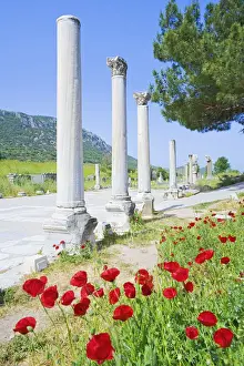 Building Exterior Prints: Classical columns located in the ancient commercial Agora, Ephesus, Turkey, Asia Minor