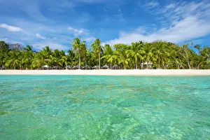 Calamianes Prints: Clear turquoise water and white sand beach at Malcapuya Island, Culion, Palawan
