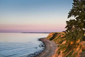 Cliff in evening light, Brodtener Ufer, Niendorf, Baltic coast, Schleswig-Holstein