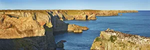 Rock Cliff Prints: Cliff landscape nearStack Rocks - United Kingdom, Wales, Pembrokeshire, Pembroke, Merrion