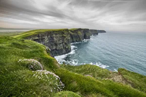 Cliffs of Moher with flowers on the foreground. Liscannor, Munster, Co. Clare, Ireland