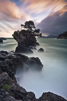Gulf Of Poets Prints: Cliffs near Tellaro, municipality of Lerici, La Spezia province, Liguria district, Italy