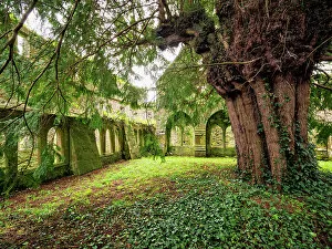 Images Dated 31st March 2023: Cloister at the Franciscan Friary, Adare, County Limerick, Ireland