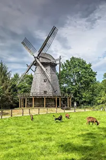Cloppenburg Museum Village: Cap windmill from Bokel near Cappeln (Cloppenburg district), built in 1764, Emsland, Lower Saxony, Germany