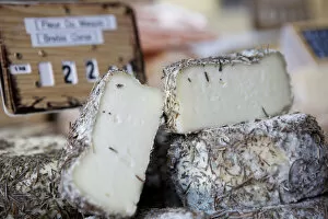 Images Dated 14th January 2011: Close up of cheese in a deli case in Aurillac, France