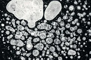 Abstract Prints: Close up of details and shapes of ice bubbles, Lake St Moritz, canton of Graubunden