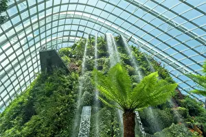 Atrium Prints: Cloud Forest, Gardens by the Bay, Singapore