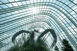 Atrium Prints: Cloud Forest, Gardens by the Bay, Singapore