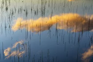 Cloud Reflections in Lochan na Fola, Glen Coe, Highland Region, Scotland