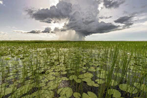 Images Dated 29th August 2023: Cloudburst over Swim Creek floodplain, Bamurru Plains, Northern Territory, Australia