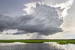 Images Dated 30th August 2023: Cloudburst over Swim Creek floodplain, Bamurru Plains, Northern Territory, Australia