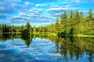 Temperate Rain Forest Ecosystem Prints: Clouds reflected in a pond, Mendenhall Lake Campground, Juneau, Alaska, USA