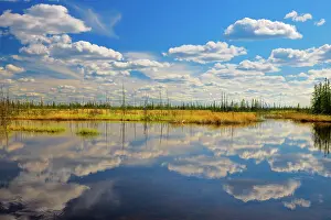Northern Canada Prints: Clouds reflected in wetland Wood Buffalo National Park, Northwest Territories, Canada
