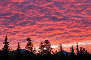 Patricia Lake Prints: Clouds at sunrise, Patricia Lake, Jasper National Park, Alberta, Canada