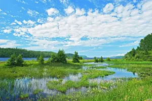 Camp Prints: Clouds and wetland at Lake Nipigon in the boreal forest Near Macdiarmid, Ontario, Canada