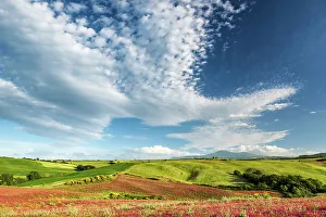 Images Dated 20th June 2023: Cloudscape over Field of Clover, Tuscany, Italy