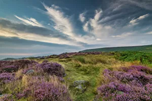 Moors Collection: Cloudscape over Heather in Bloom, Ilkley Moor, West Yorkshire, England