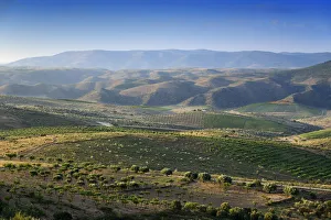 Vila Nova De Foz Coa Prints: Coa Valley Archaeological Park, a Prehistoric Rock Art Site. A UNESCO World Heritage Site
