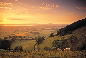 Coaley Peak