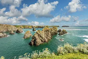 Rocky Coast Prints: Coast at the Port de Goulphar near Bangor, Belle-Ile-en-Mer, Morbihan, Brittany, France