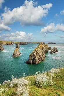 Rocky Landscape Prints: Coast at the Port de Goulphar near Bangor, Belle-Ile-en-Mer, Morbihan, Brittany, France