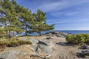 Sandhamn Prints: Coast of Sandhamn Island, Stockholm County, Sweden