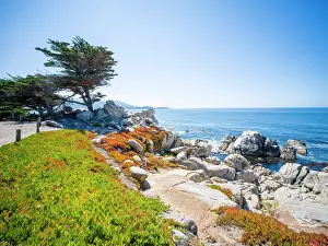 Monterey Prints: Coastal Area Near Carmel-by-the-Sea on the Monterey Peninsula