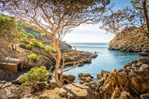 South Prints: Coastal landscape near Calo d`en Monjo, Cala Fornells, Mallorca, Balearic Islands, Spain