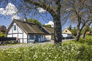 Summer House Prints: Coastal road in Listed on Bornholm, Denmark