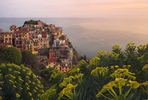 Five Lands Prints: Coastal town of Manarola in spring at sunset, Cinque Terre, Liguria, Italy