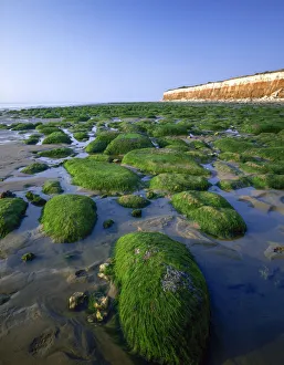 Cliffside Prints: Coastline at Hunstanton, Norfolk, England