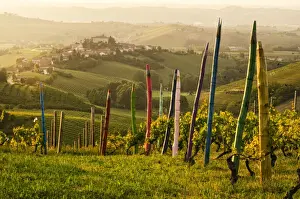 Wineries Prints: Coazzolo from the colorful pastels vineyard vigna dei pastelli, piedmont, italy