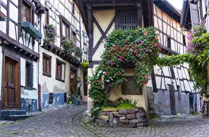 The cobbled streets and half-timbered houses of the medieval village Eguisheim, member