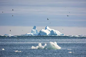 Coburg Island Prints: Coburg Island, Nunavut, Canada, Arctic Circle
