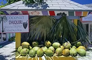 Images Dated 17th June 2009: Coconut daiquiri stall at Port Lucaya on Grand Bahama