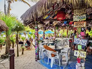 Coconuts Prints: Coconuts Bar, Cozumel Island, Quintana Roo State, Mexico
