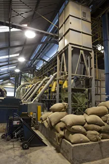 Coffee Production Prints: Coffee Processing Plant, Marley Coffee, Kingston, St. Andrew Parish, Jamaica, Caribbean