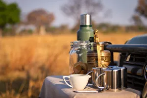 Coffee Prints: Coffee on safari, Moremi National Park, Okavango Delta, Botswana