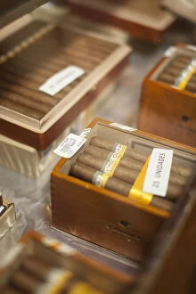 Images Dated 1st February 2013: Cohiba cigars, Fabrica de Tabacos Patagas (famous cigar factory), Havana, Cuba